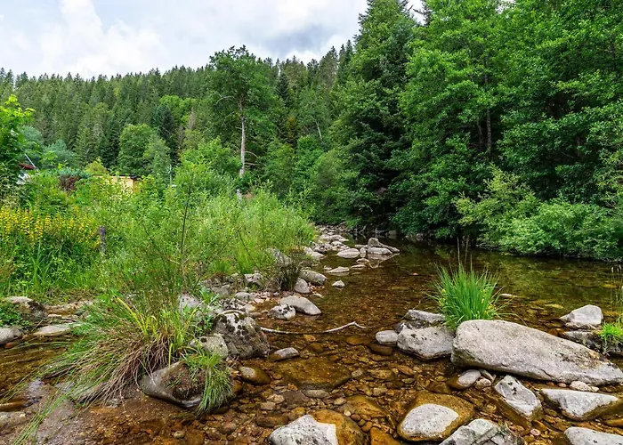 Haus Am Bach Schonmunzach